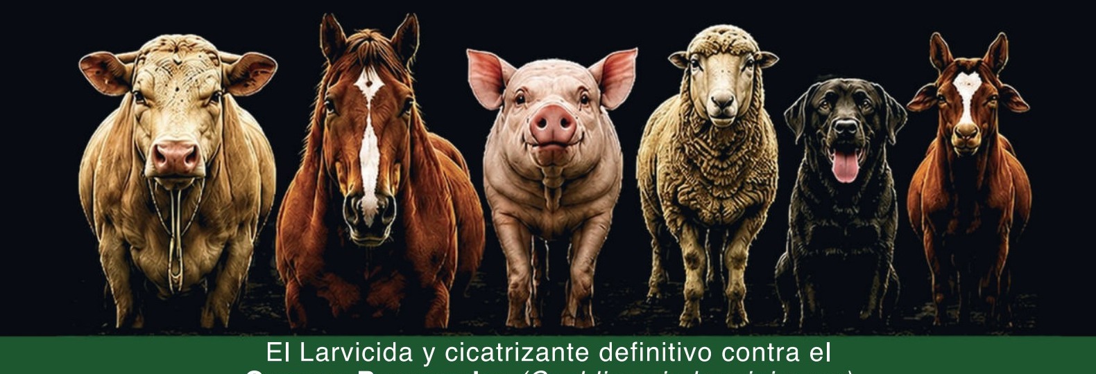 Bovinos, equinos, porcinos, ovinos, caprinos y caninos protegidos por MATAGUSANOX®